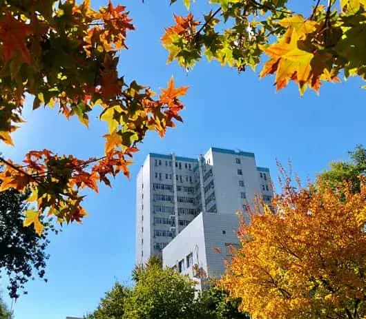 Capital Medical University